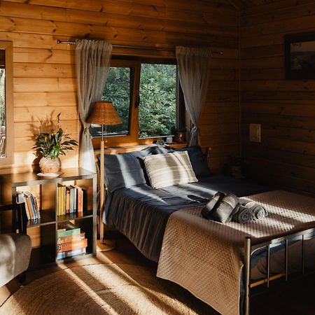 Berzu Namelis - Birch Cabin Kuciunai Exterior foto