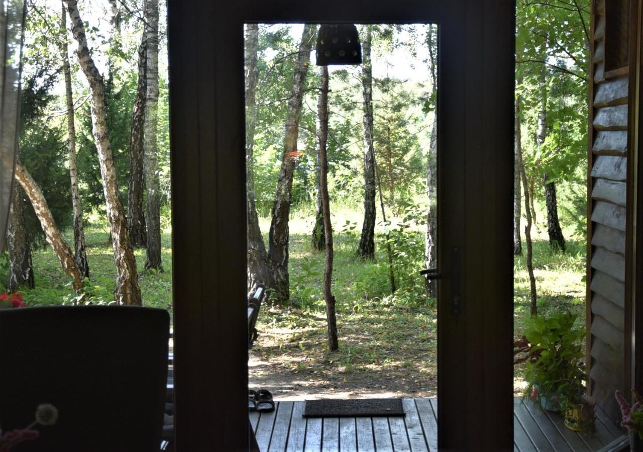 Berzu Namelis - Birch Cabin Kuciunai Exterior foto