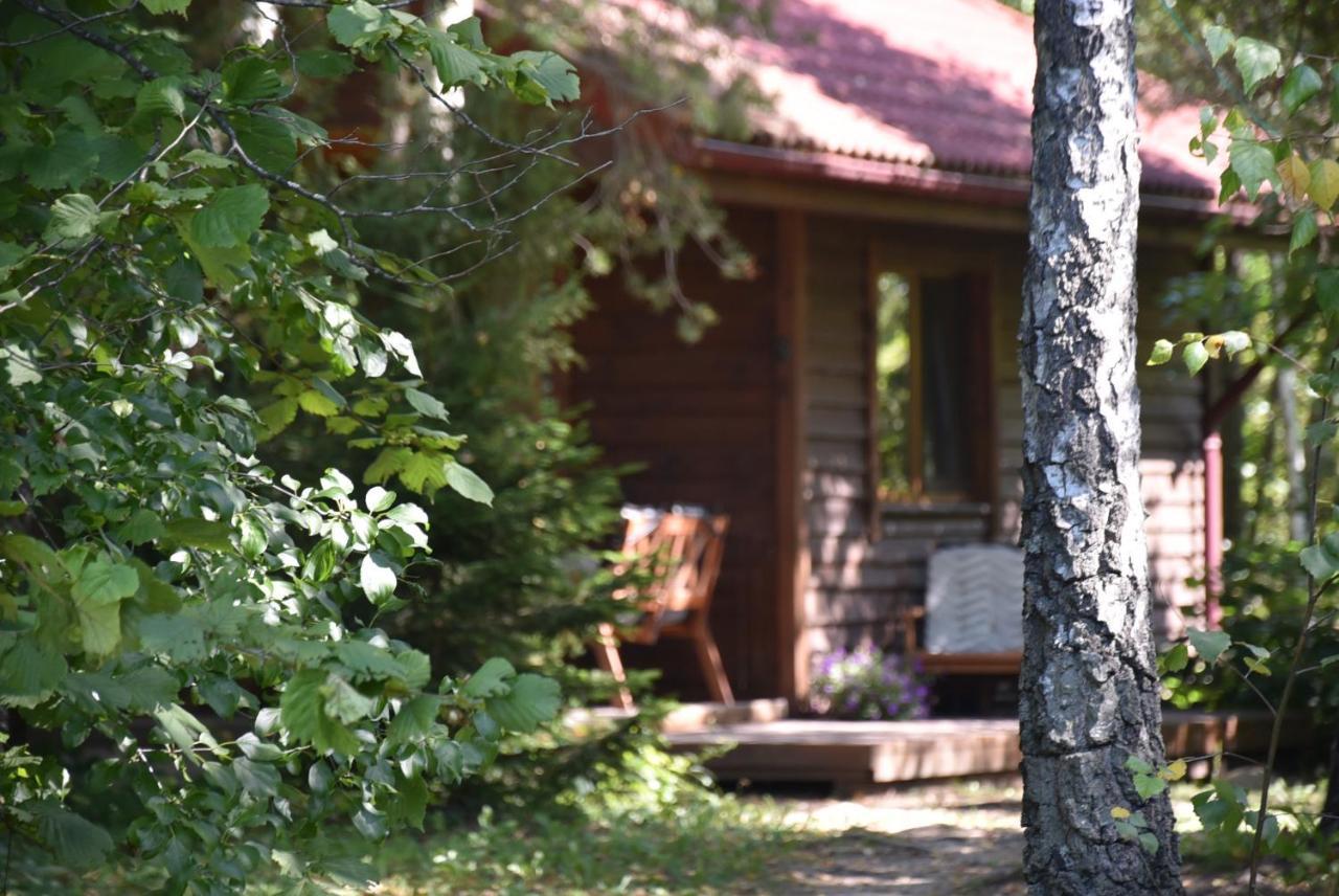 Berzu Namelis - Birch Cabin Kuciunai Exterior foto