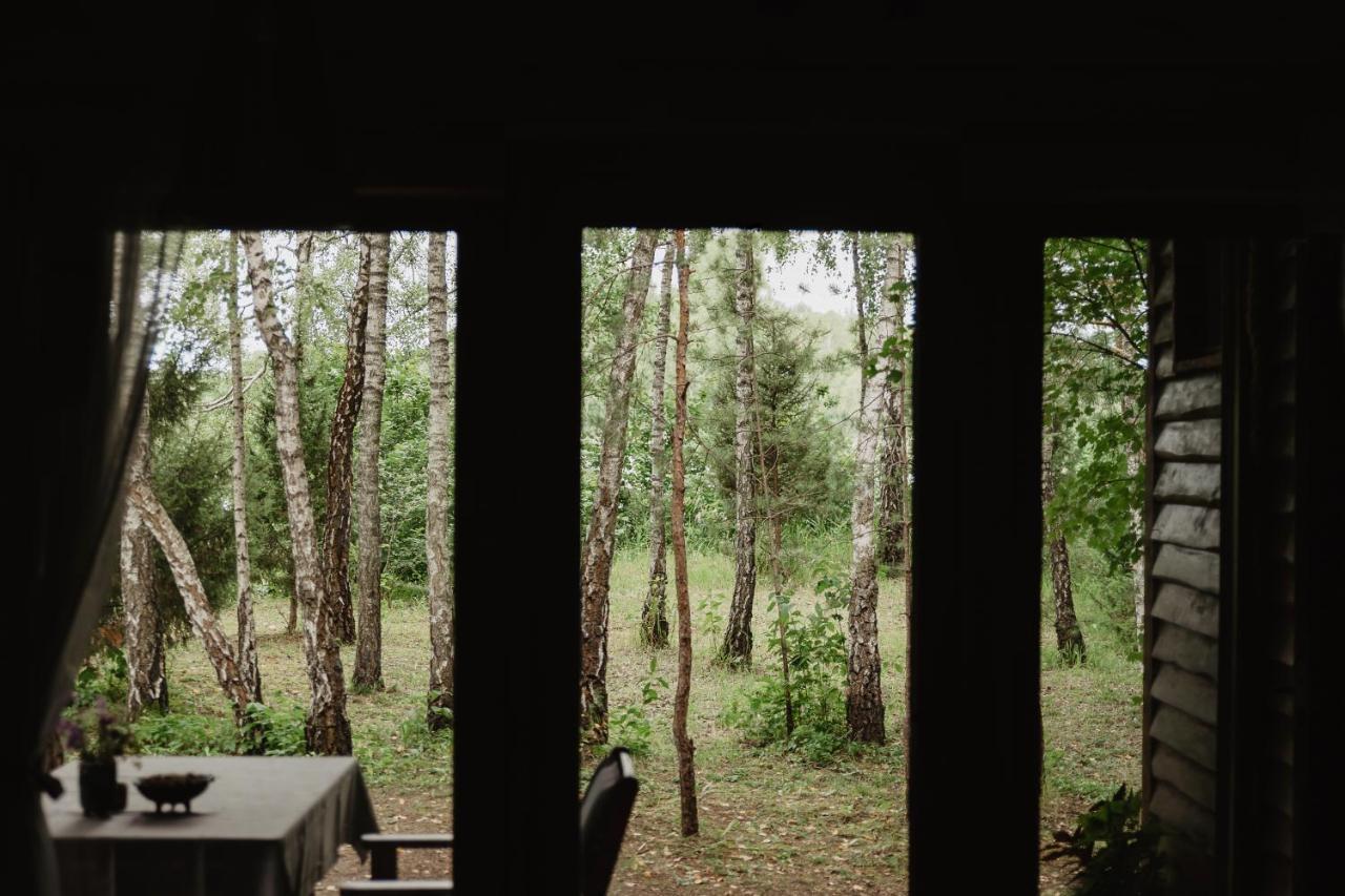 Berzu Namelis - Birch Cabin Kuciunai Exterior foto