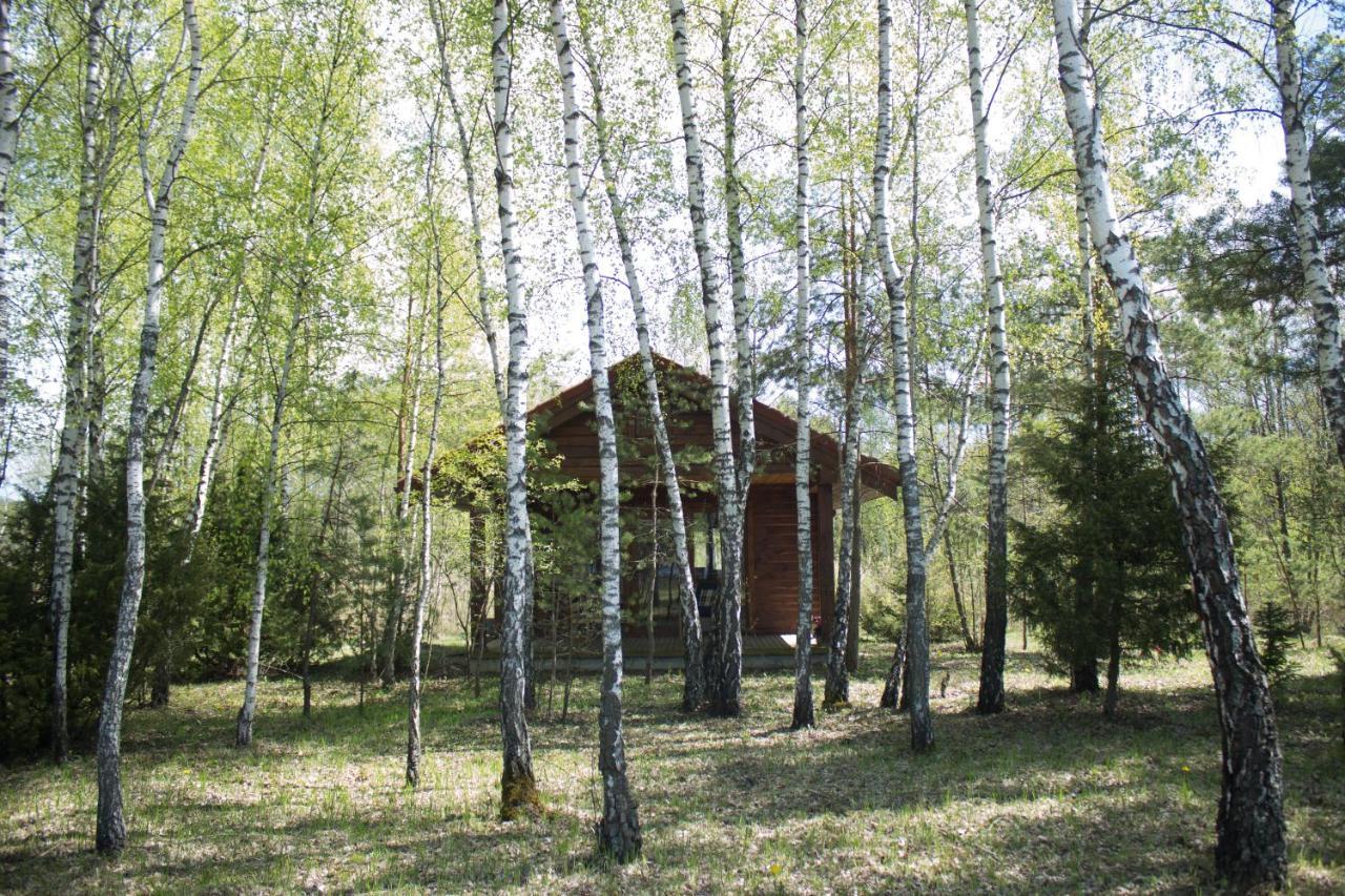 Berzu Namelis - Birch Cabin Kuciunai Exterior foto